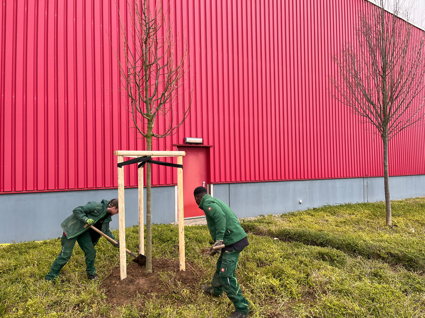 Galabau Viersen Ihr Experte für Garten und Landschaftsbau in Viersen